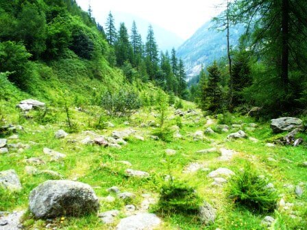 paesaggio primaverile